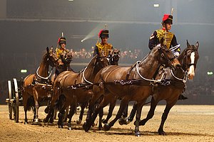 kings troop photo
